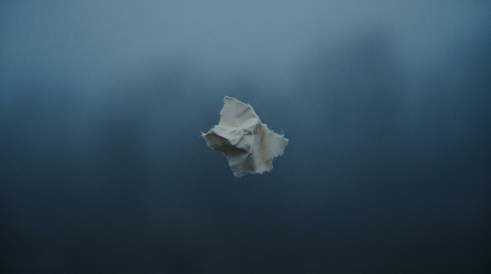 A single paper scrap alone in calm fog, lit softly